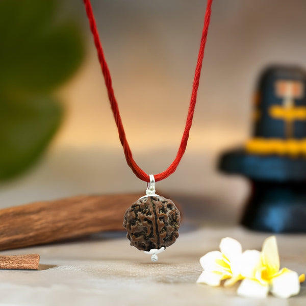 Nepal Origin 5 Mukhi Rudraksha (Silver Capped) – Energized & Handcrafted