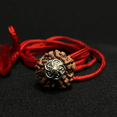 Nepal Origin 5 Mukhi Rudraksha (Silver Capped) – Energized & Handcrafted