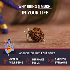 Nepal Origin 5 Mukhi Rudraksha (Silver Capped) – Energized & Handcrafted